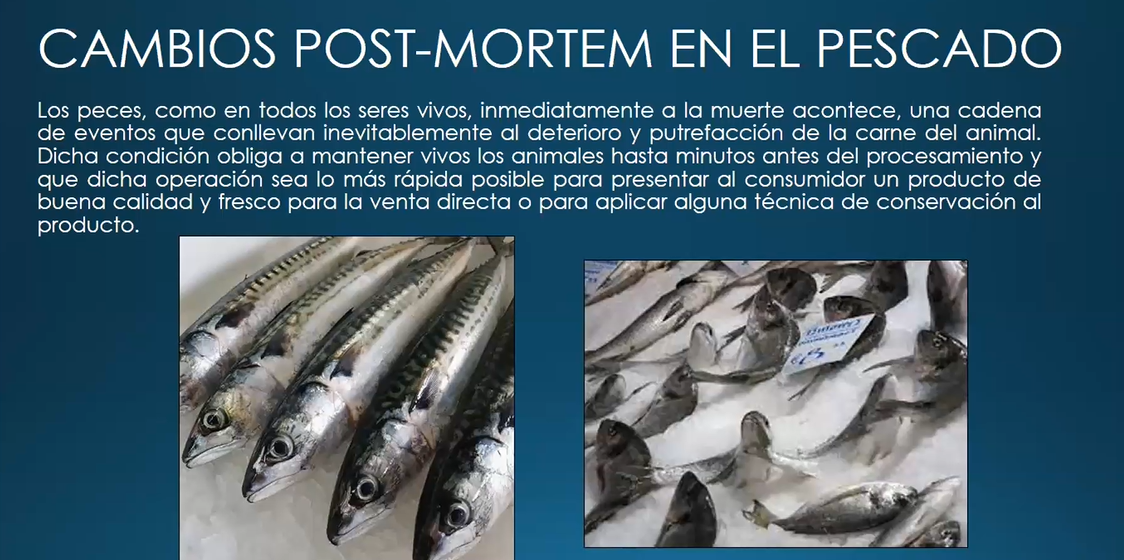 Procesamiento y comercialización del Pescado